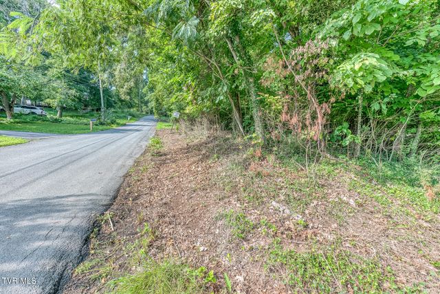 Tbd Angeline Drive, Johnson City, TN 37615