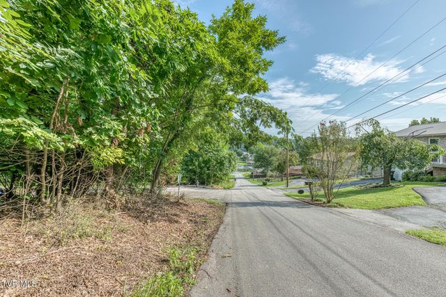 Tbd Angeline Drive, Johnson City, TN 37615
