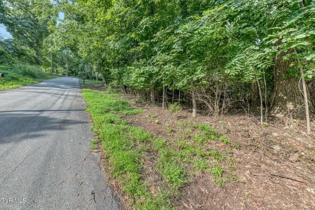 Tbd Angeline Drive, Johnson City, TN 37615