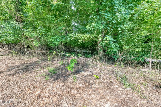 Tbd Angeline Drive, Johnson City, TN 37615