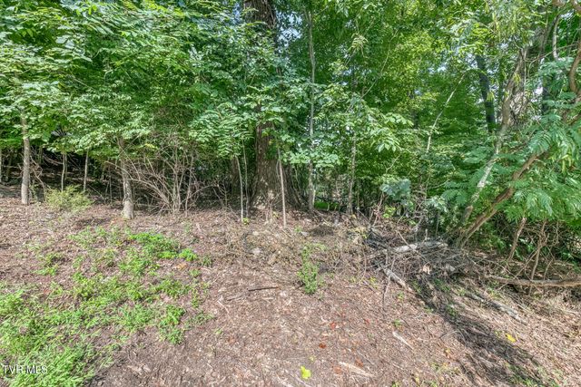 Tbd Angeline Drive, Johnson City, TN 37615