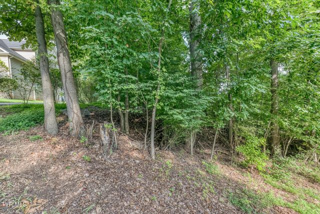 Tbd Angeline Drive, Johnson City, TN 37615