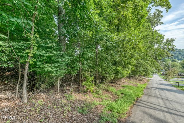 Tbd Angeline Drive, Johnson City, TN 37615