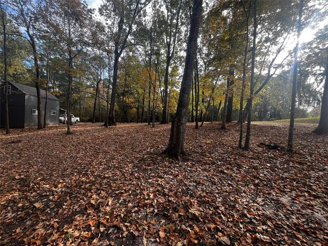 11 Clearwater Circle, Coldspring, TX 77331