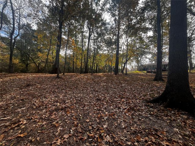 11 Clearwater Circle, Coldspring, TX 77331