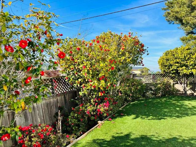 2603 All View Way, Belmont, CA 94002