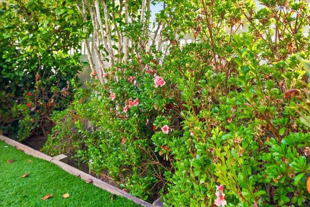 2603 All View Way, Belmont, CA 94002