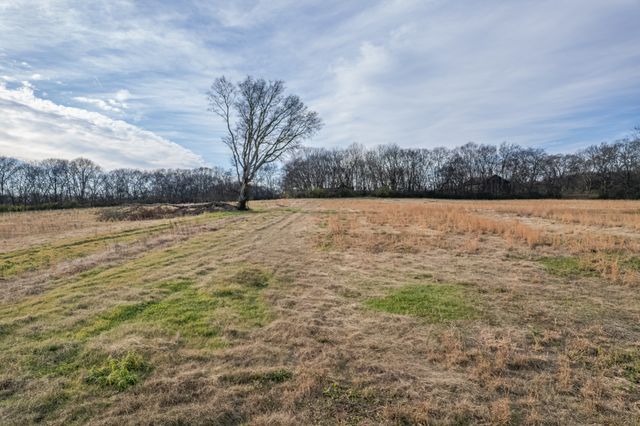 815 S Cross Bridges Rd, Mount Pleasant, TN 38474