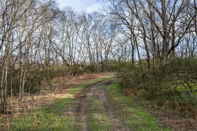 815 S Cross Bridges Rd, Mount Pleasant, TN 38474