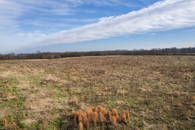 815 S Cross Bridges Rd, Mount Pleasant, TN 38474