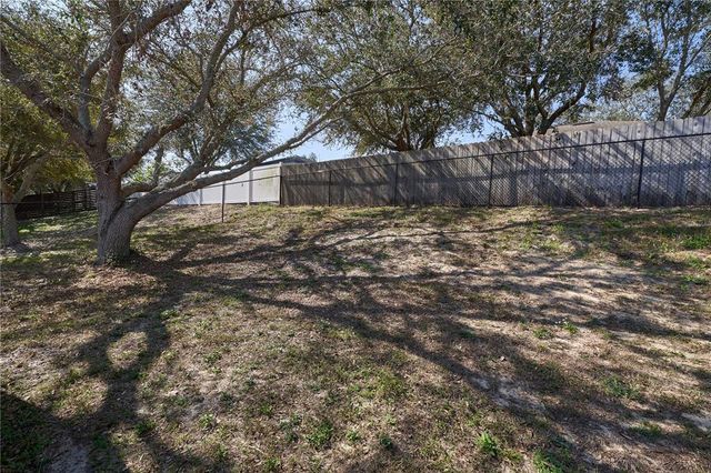 1001 WILLOW RUN ST., Minneola, FL 34715