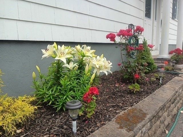 24 Lily Street, Lynn, MA 01902