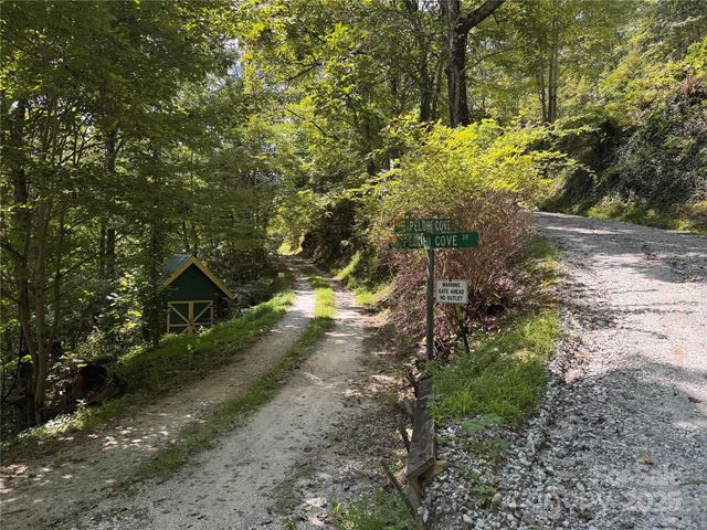 84 Pelohi Cove Road, Bryson City, NC 28713