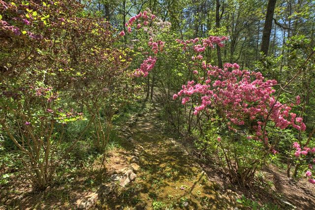 509 Ponderosa, Ellijay, GA 30540
