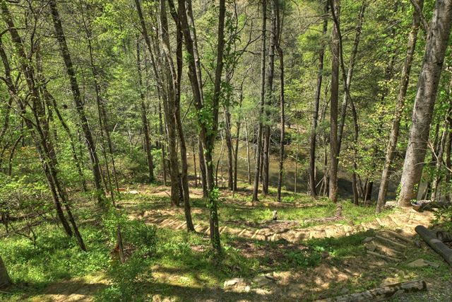 509 Ponderosa, Ellijay, GA 30540