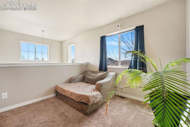 9728 Wando Drive, Colorado Springs, CO 80925