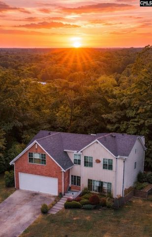 133 whiteford Court, Lexington, SC 29072