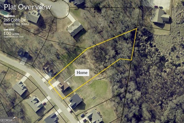 265 Cobb Drive, Royston, GA 30662