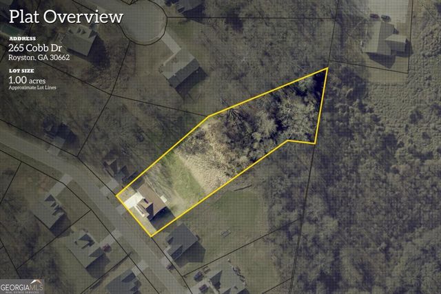 265 Cobb Drive, Royston, GA 30662