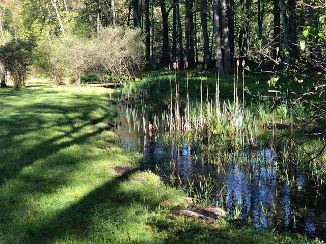 12 Wyndridge Circle, Pelham, NH 03076
