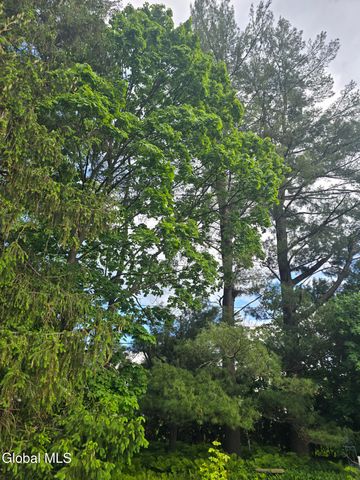 7 Clarendon Road, Albany, NY 12203