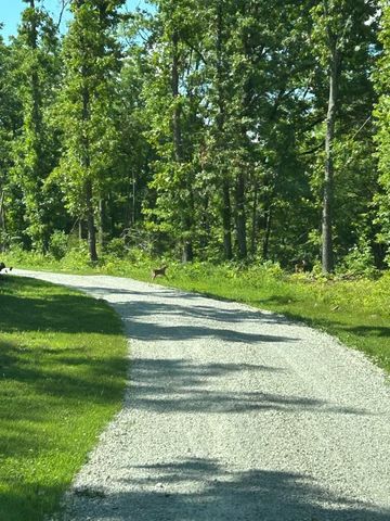 2416 Barton Ln Lane, Cabool, MO 65689