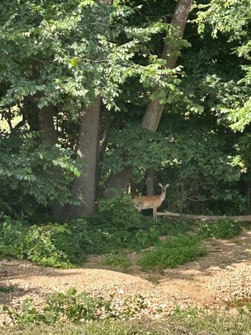 2416 Barton Ln Lane, Cabool, MO 65689