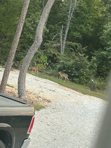 2416 Barton Ln Lane, Cabool, MO 65689