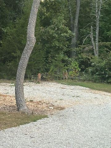 2416 Barton Ln Lane, Cabool, MO 65689