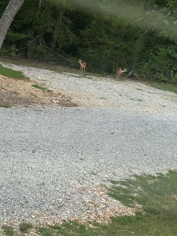 2416 Barton Ln Lane, Cabool, MO 65689