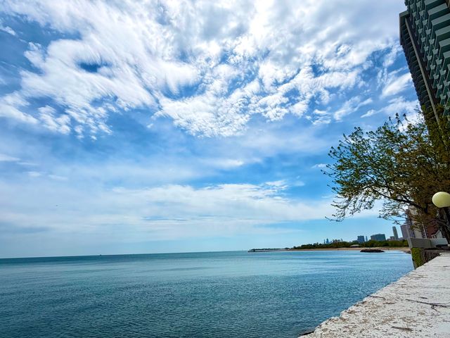 6101 N Sheridan Road 11E, Chicago, IL 60660