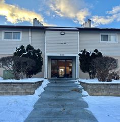 880 OLD WILLOW Road 282, Prospect Heights, IL 60070