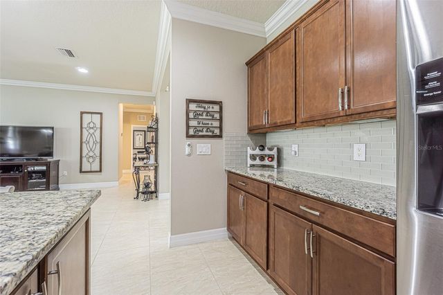 1507 WINDY GAP PLACE, Valrico, FL 33594