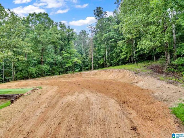 9374 BAGLEY ROAD, Dora, AL 35062