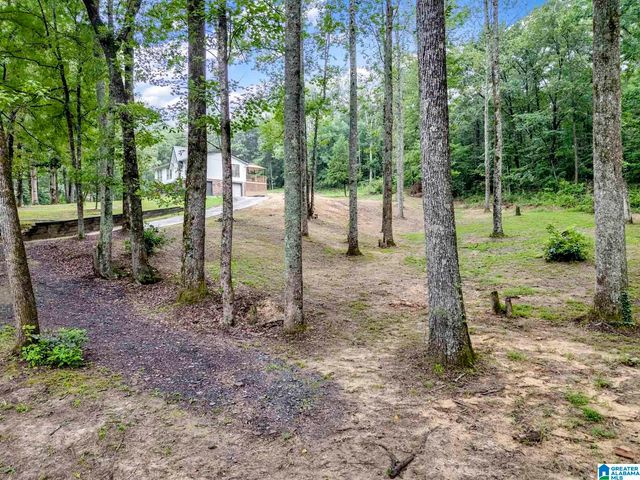 9374 BAGLEY ROAD, Dora, AL 35062