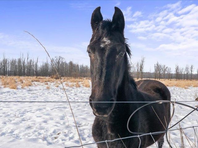 8839 Petz Road, Imlay City, MI 48444