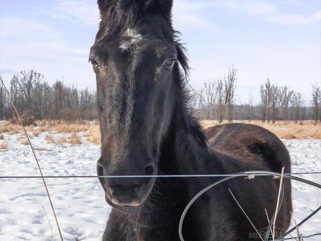 8839 Petz Road, Imlay City, MI 48444