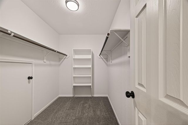 14843 Live Oak Green Court, Houston, TX 77049