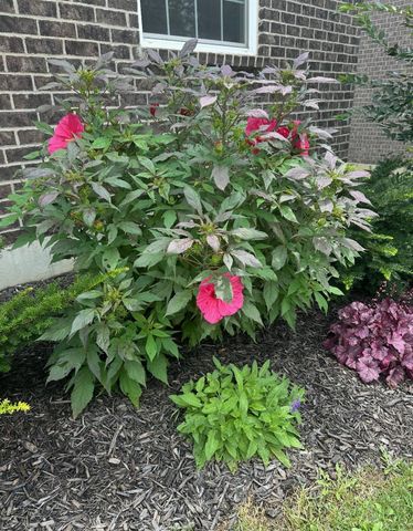 1160 Golf Club Drive, Turtle Creek Twp, OH 45036