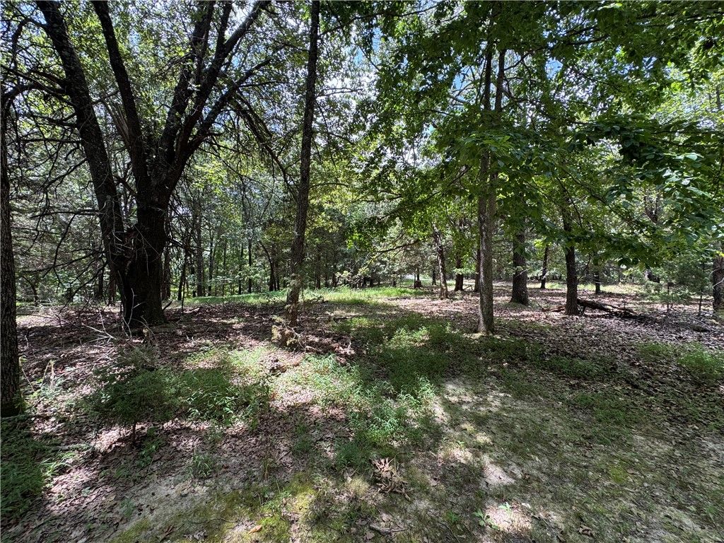 TBD 000 Panorama, Rogers, AR 72758