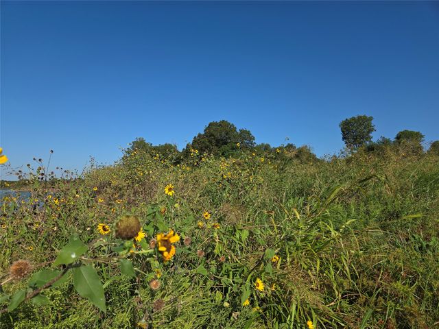 Lot 59 Bridgewater Boulevard, Kerens, TX 75144