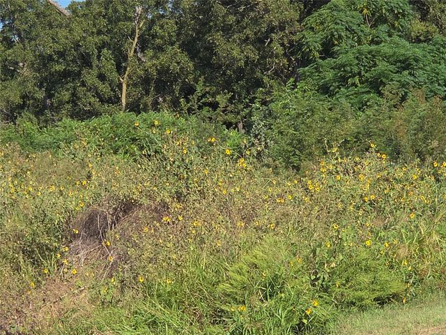 Lot 59 Bridgewater Boulevard, Kerens, TX 75144