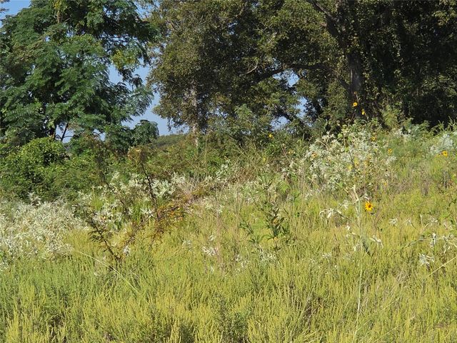 Lot 59 Bridgewater Boulevard, Kerens, TX 75144