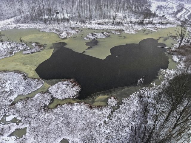 7969 Megan Meadow Drive, Hudson, OH 44236