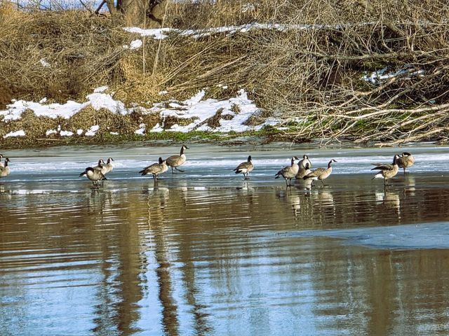 13420 Howard Road, Prophetstown, IL 61277