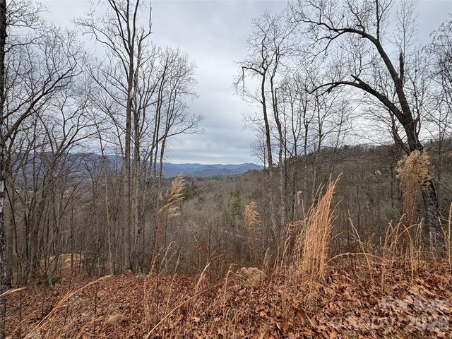 999 Breedlove Road 2, Bryson City, NC 28713