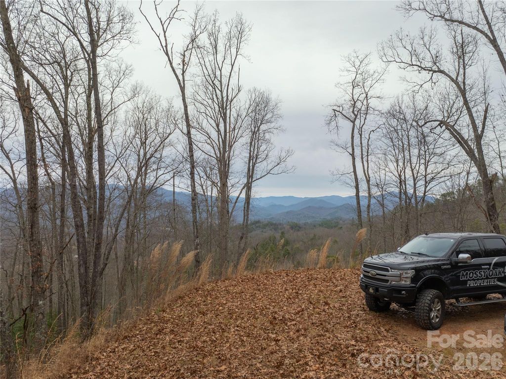 999 Breedlove Road 2, Bryson City, NC 28713