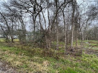 0 Lost Forest Drive, Guy, TX 77444