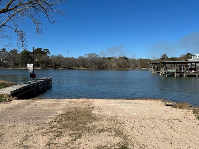 187 Panther, Onalaska, TX 77360