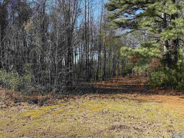 5 Mose Chapel Road, Madison, AL 35758